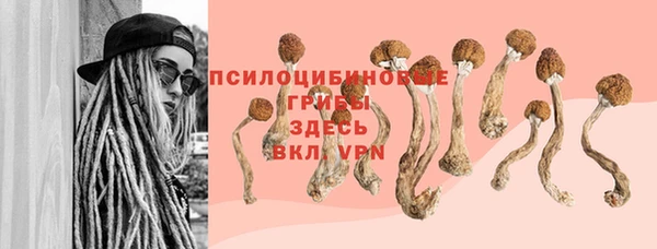 а пвп мука Балабаново