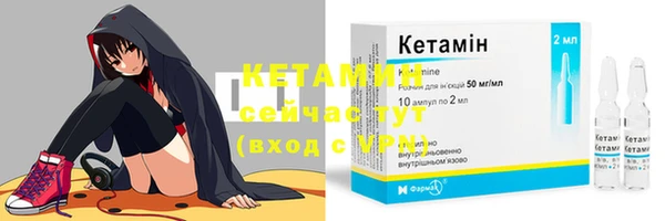 крисы Баксан