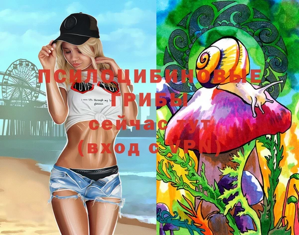 крисы Баксан