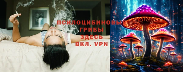 ПСИЛОЦИБИНОВЫЕ ГРИБЫ Балахна
