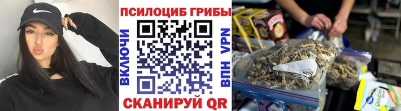 Галлюциногенные грибы Psilocybe  Казань 