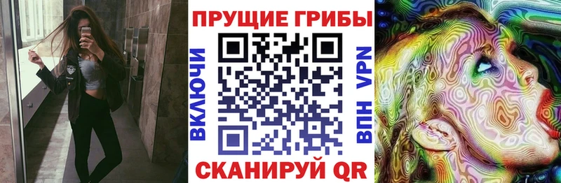 Псилоцибиновые грибы мухоморы Казань